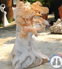 Tùng hạt bằng đá Tùng hạt bằng đá