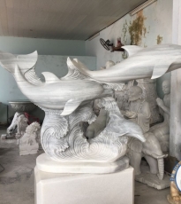 Cá Heo đá Cá Heo đá