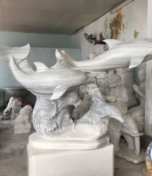 Cá Heo đá Cá Heo đá